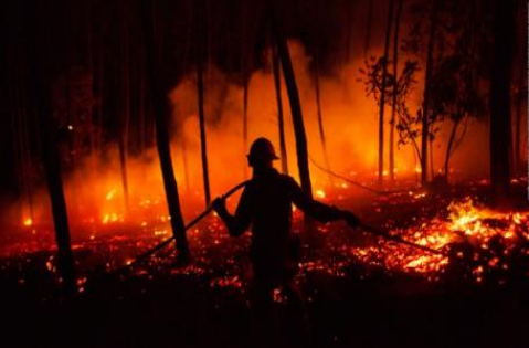 Nota Ambiental Día Internacional del Combatiente de Incendios Forestales Mayo 4 de 2021