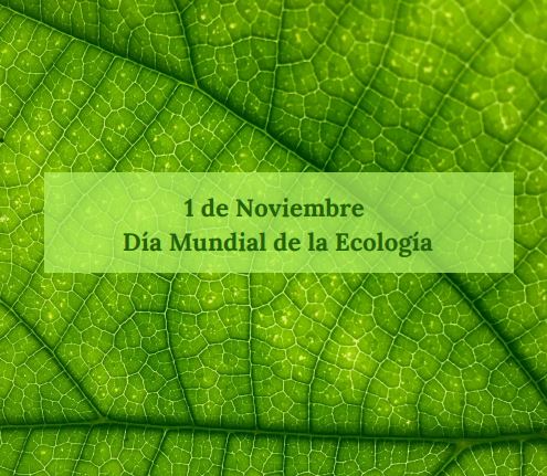 Lee más sobre el artículo Nota Ambiental Día Mundial de la Ecologia Noviembre 01 de 2021