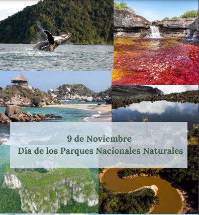 Lee más sobre el artículo Nota Ambiental Día de los Parques Nacionales Naturales, Noviembre 09 de 2021